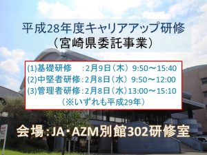 H28キャリアアップ研修カバー(ts)