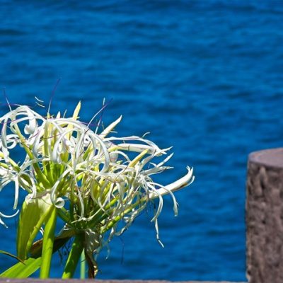 DSC01429-1(ss)