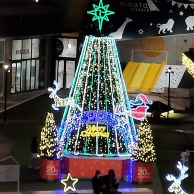 協会ブログ用IMG20251101195739